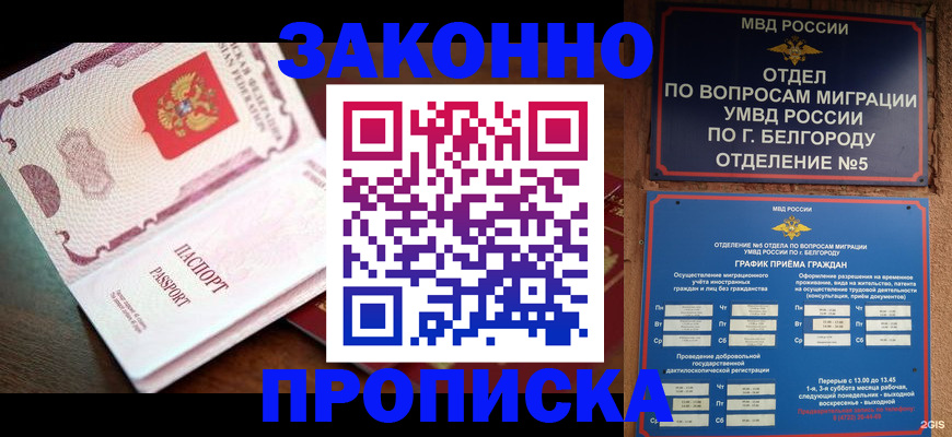 временная регистрация для школы в Ковылкино